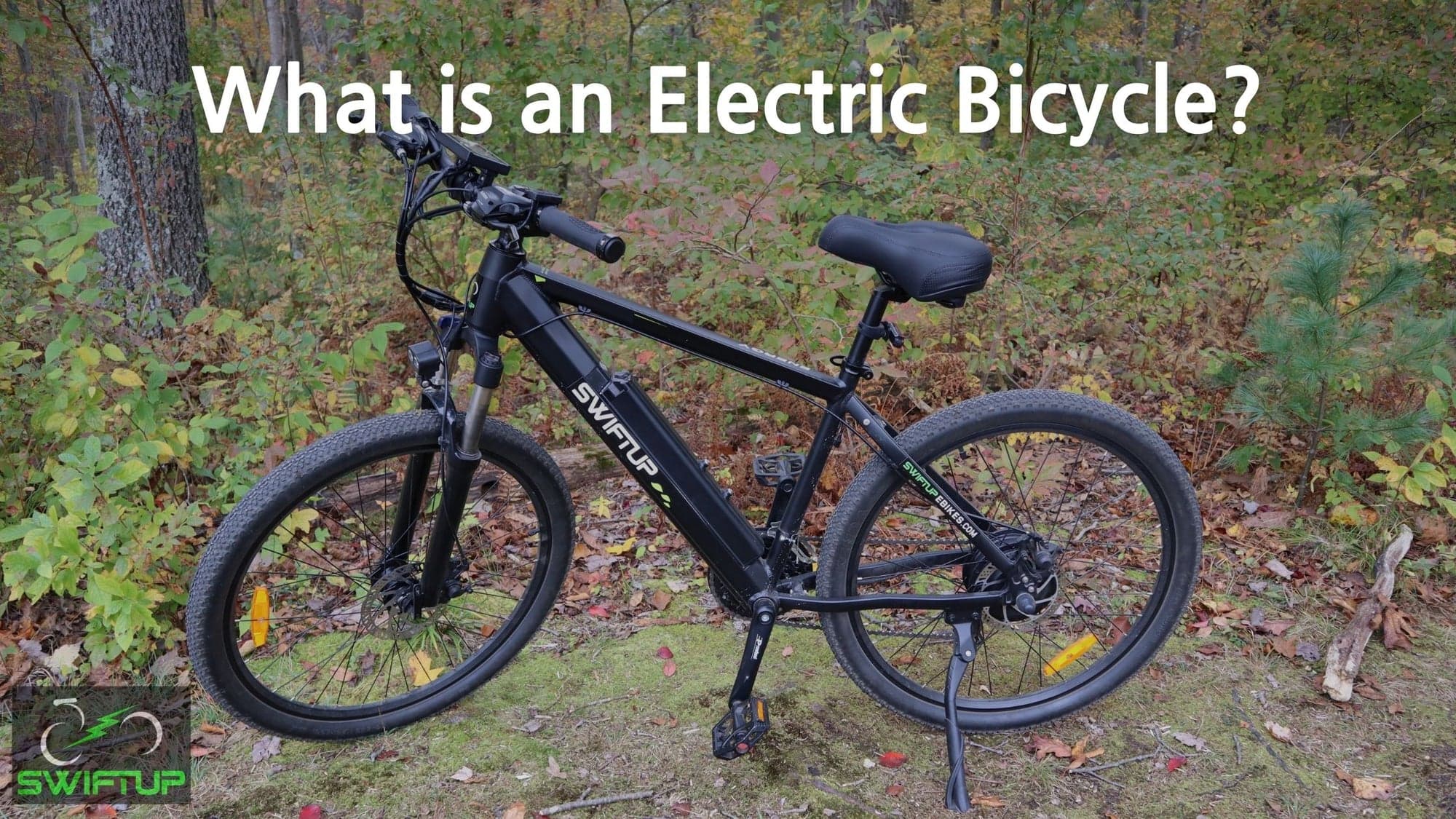 What is an electric bicycle article image